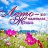 Логотип телеграм канала @stella_nord — СТЕЛЛА НОРД