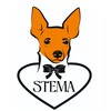 Логотип телеграм канала @stema_brand — STEMA | Одежда для маленьких собак