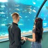 Логотип телеграм канала @stepa_brsh — Стёпочка