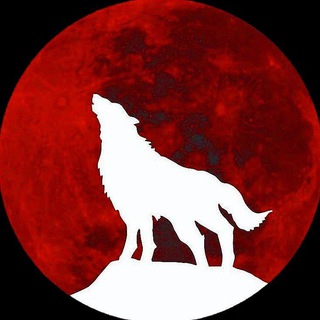 Логотип телеграм канала @stepnoy_wolk05 — Страйкбольный клуб "Степной волк"🐺
