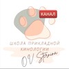 Логотип телеграм канала @stern_dogs_channel — Кинология для всех | Школа Прикладной кинологии О.В. Стерниной