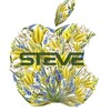Логотип телеграм канала @steve_ua — STEVE.UA📱 IPHONE📲IPAD MACBOOK DYSON📍APLE ОДЕСА💰