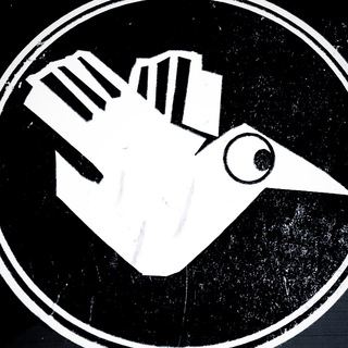 Telegram channel Steven Divish logo