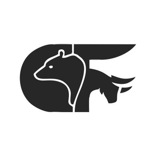 Logo of telegram channel stfxf_signals — Clarify Forex, MT4 & MT5™