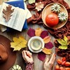 Логотип телеграм канала @stg579 — СТИХОграмм