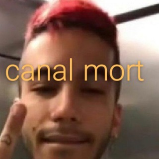 Telgraf kanalının logosu stickerfiki — ✰ 𝗦𝘁𝗶𝗰𝗸𝗲𝗿𝘀 𝗙𝗶𝗸𝗶 ✰ #STF