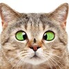 Логотип телеграм канала @stikerpakiintelegram — ПоФакту_Telegram_Стикеры