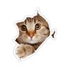 Telegram channel Premium Emoji | Премиум эмодзи | Темы logo