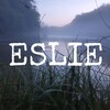 Логотип телеграм канала @stikhieslie — Стихи ESlie