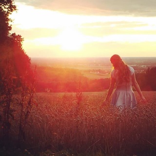 Logo des Telegrammkanals stimmederheimat - StimmeDerHeimat