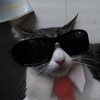 Логотип телеграм канала @stitchbro1 — Подвал Стичера