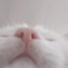Логотип телеграм канала @stixisia — ЦИТАТЫ | СИЯ РЭЙМАН 🤍