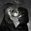 Logo of telegram channel stl_a — 𝒔𝒕𝒆𝒍𝒍𝒂