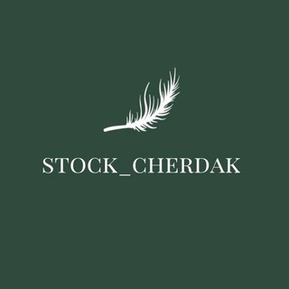 Логотип телеграм канала @stock_cherdak — stock_cherdak