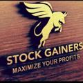 Logo saluran telegram stock_gainers0 — STOCK GAINERS TIPS ™