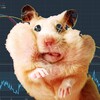 Логотип телеграм канала @stock_money_hamsters — Биржа, деньги, хомяки