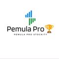 Telegram channel STOCKITY PEMULA PRO🏆 logo