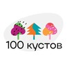 Логотип телеграм канала @stokustov — Питомник «100 Кустов»🪴