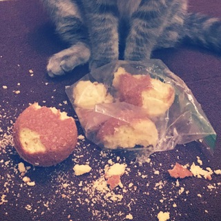 Логотип телеграм канала @stolen_pierogi — Stolen Pierogi