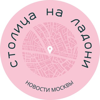 Логотип телеграм канала @stolica_na_ladoni — Столица на ладони | Новости Москвы | События | Происшествия