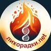 Логотип телеграм канала @stopfever — Лихорадки.net