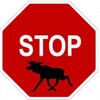 Логотип телеграм канала @stoplosb — StopЛось