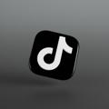 Logo saluran telegram storecrushakuntiktok — JUAL BELI AKUN TIKTOK DAN IG
