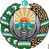 Telegram kanalining logotibi stories_vpp — storiess.vp