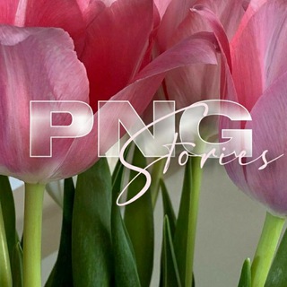 Логотип телеграм канала @storipng — PNG STORIES