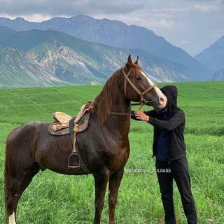 Лагатып тэлеграм-канала storis_0_1 — Storis_01