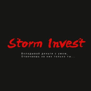Логотип телеграм канала @storm_invest — Storm Invest