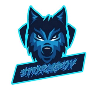 Logo of telegram channel stormboy_2 — ᏚᎢᎾᎡᎷᏴᎾY GAMER