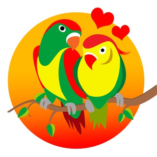 Логотип телеграм канала @storybirds — ПТИЧКА