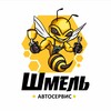 Логотип телеграм канала @stoshmel — НИЖЕ РЫНКА - Шмель Авто СПб