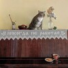 Логотип телеграм канала @stpetersburg_escort — Питерский эскорт