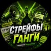 Логотип телеграм канала @strafeandgangs — Стрейфы и Ганги 🎯