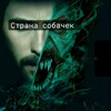 Логотип телеграм канала @stranasobachek — Страна собачек