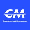 Логотип телеграм канала @strategicmentality — Стратегический менталитет | Менеджмент