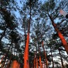Логотип телеграм канала @strategylife — Стратегия жизни Тимура Тараканова