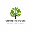 Логотип телеграм канала @stratrosta — Стратегия Роста/Извеков