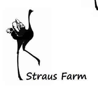 Логотип телеграм канала @strausfarm — 🇺🇿Straus Farm🇬🇧
