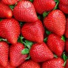 Logo of telegram channel strawberry6699 — Strawberry