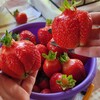 Логотип телеграм канала @strawberryirk — Земляничные заметки🔖 Иркутск- Байкальск 🍓🍓🍓