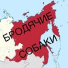 Логотип телеграм канала @straydogs_dv — Бродячие собаки Дальний Восток