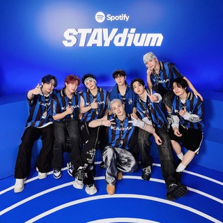 Логотип телеграм канала @straykids_d8 — Мир Stray Kids