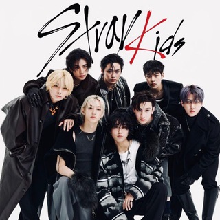 Логотип телеграм канала @straykids_ygolok — Уголок stray kids