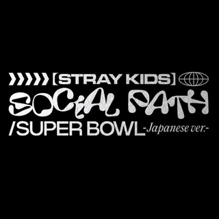 Logo of telegram channel straykidsjype — STRAY KIDS ⋆⁵ STAY