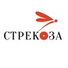 Логотип телеграм канала @strecoza_izd — Издательство «Стрекоза»