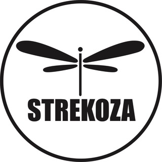 Логотип телеграм канала @strekoza_shop_kzn — STREKOZASHOP