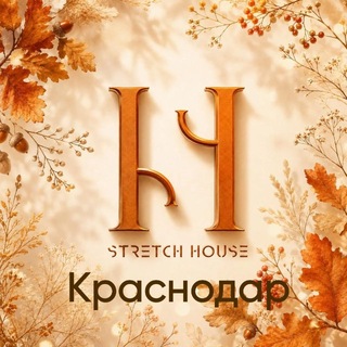 Логотип телеграм канала @stretchhouse_krd — Студия растяжки STRETCH HOUSE | Краснодар😍
